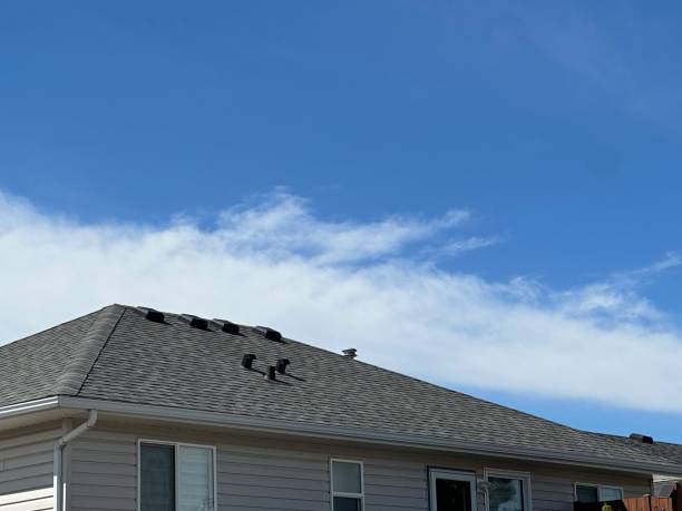 Trusted Black River Falls, WI Roof Repair & Installaion Experts